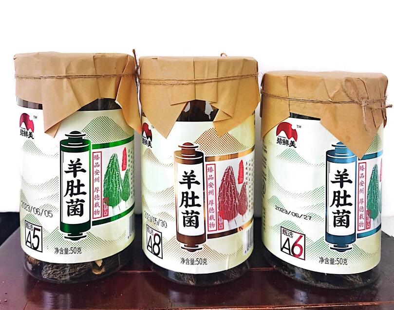 &#20048;&#40060;