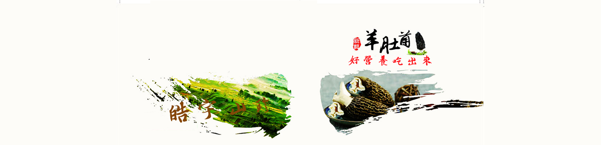 &#20048;&#40060;