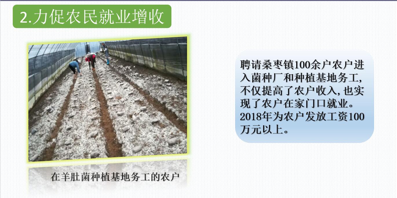 &#20048;&#40060;