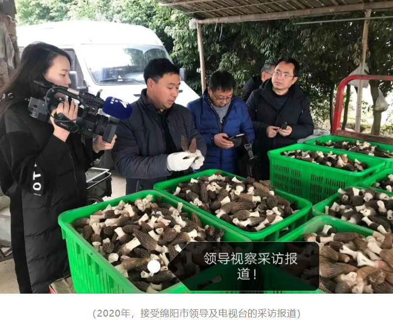 &#20048;&#40060;