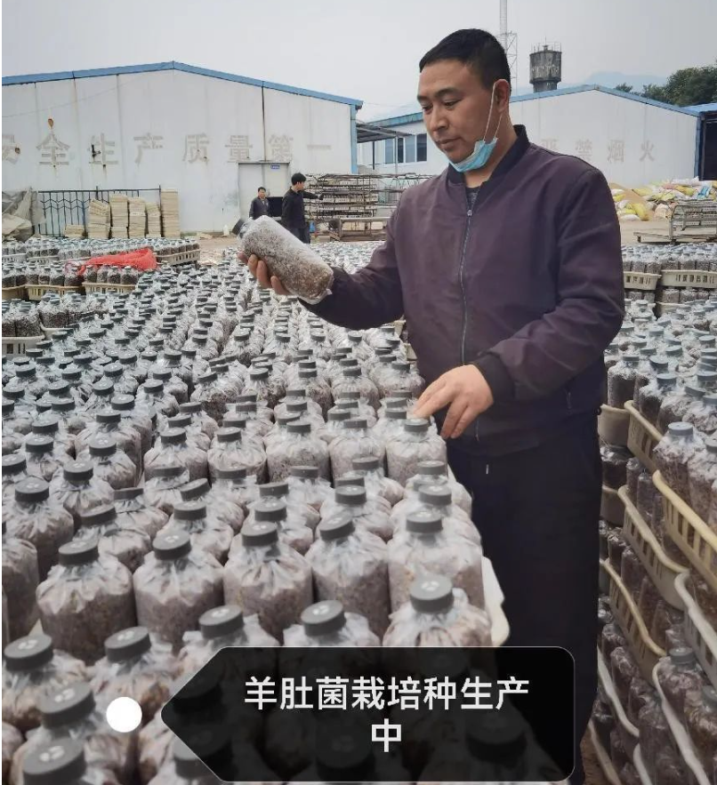 &#20048;&#40060;